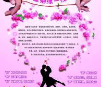 家政服務,婚姻介紹,保潔服務外包,母嬰用品零售,健 .