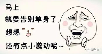 新余 單身狗 的春天來了 中央發(fā)話 將幫忙找到合適伴侶